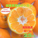【ふるさと納税】令和8年1月下旬より発送 <訳あり> ぽんかん 3.5kg 高糖度 みかん 柑橘 高知県 高知 土佐清水 甘い ジューシー 完熟 フルーツ 果物 ポンカン ビタミンC 旬 M~2Lサイズ 減農薬 乳酸菌生成液 産直 季節限定 家庭用 ふるさとのうぜい 返礼品【R01342】