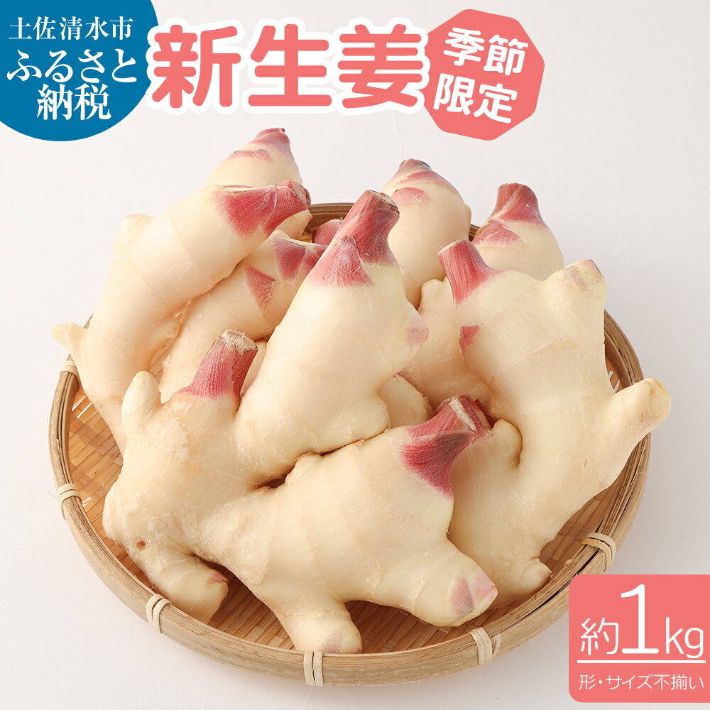 【ふるさと納税】 先行受付 新生姜 1kg 生姜 生姜湯 ジンジャー しょうが ショウガ 1キロ 野菜 旬 季節限定 農家直送 佃煮 甘酢漬け ガリ ジンジャー...