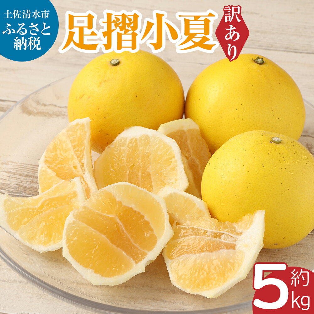 【ふるさと納税】【訳あり】早川農園の足摺小夏（5kg）【L-76】のサムネイル
