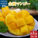 【ふるさと納税】完熟金蜜マンゴー1kg（2個～4個入り）先行予約 南国フルーツ 金蜜 きんみつ種 糖度20度以上 高糖度 果物 果汁 濃厚 ジューシー デザート ギフト プレゼント 送料無料 故郷納税 高知県 土佐清水市 送料無料 高知【R00627】