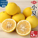 28位! 口コミ数「5件」評価「4.6」【訳あり】オレンジ園の小夏5kg 日向夏 みかん 柑橘 フルーツ 果物 こなつ ニューサマーオレンジ 先行予約 旬 5キロ 美味しい 食感 ･･･ 