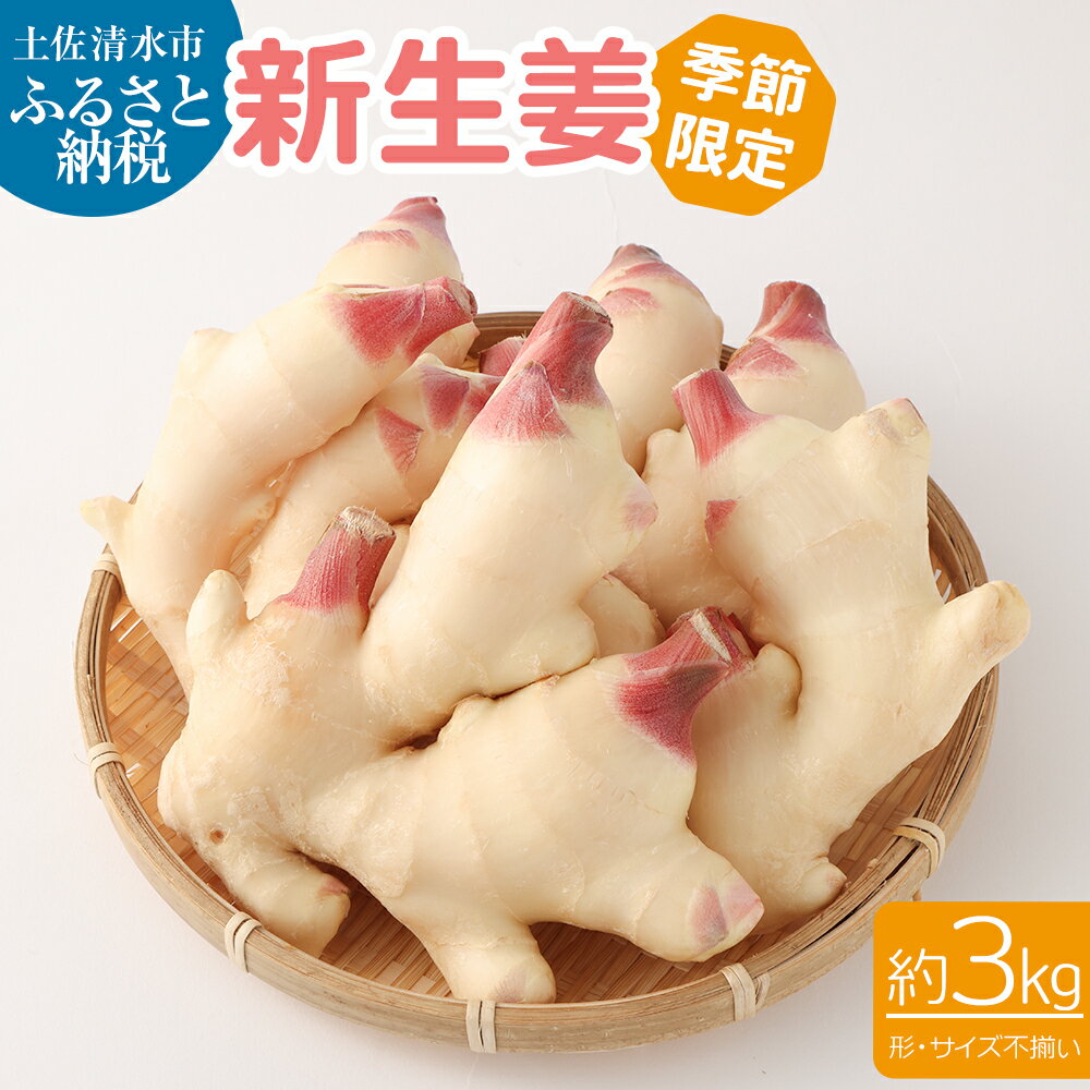 【ふるさと納税】先行受付 新生姜 3kg 季節限定 農家直送 3キロ 甘酢漬け ガリ 佃煮 ジンジャーエール しょうが ショウガ 佃煮 甘酢漬け 食品 新鮮 野...