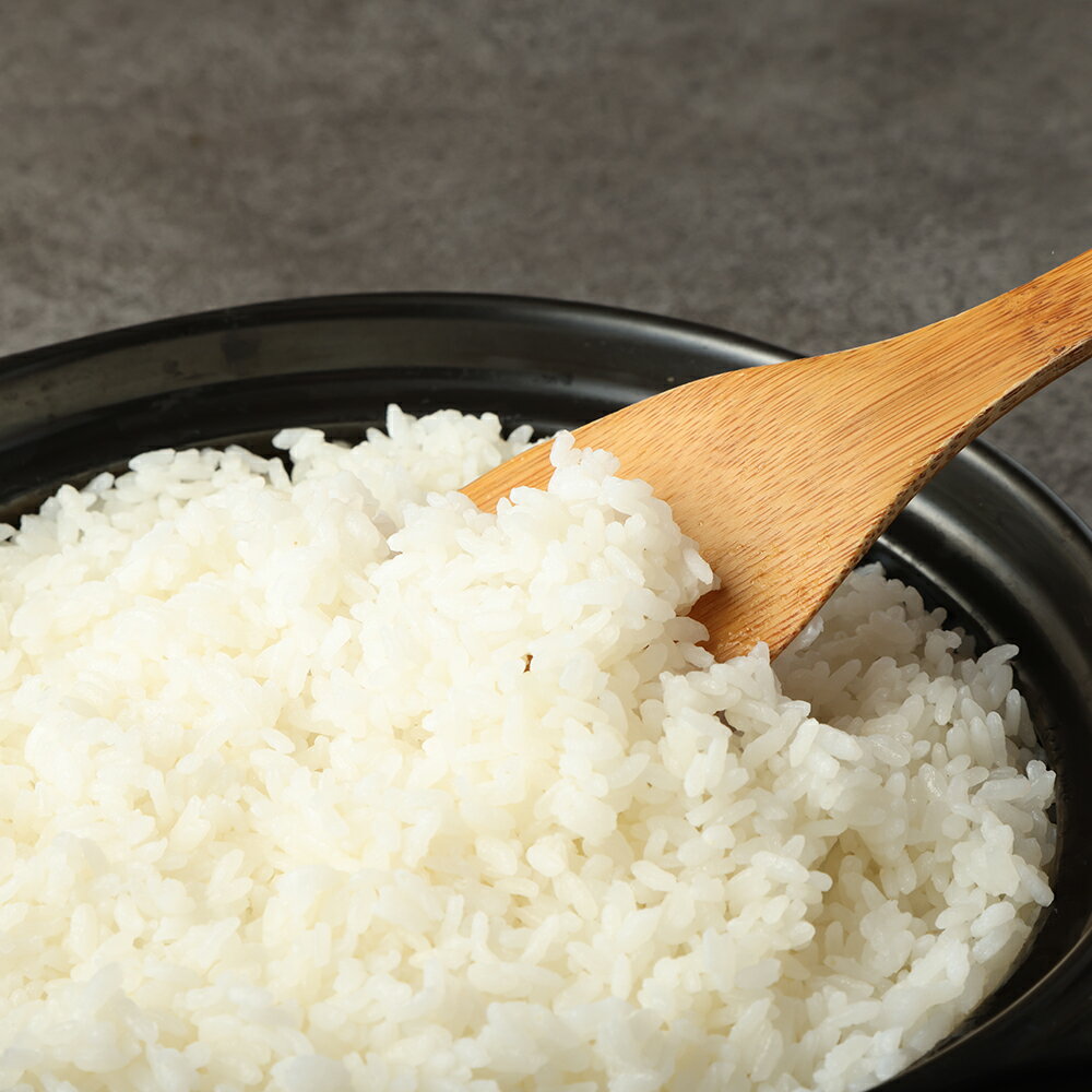 【ふるさと納税】あしずり黒潮米 コシヒカリ こしひかり 5kg 10kg 1回のみ 5回定期便 精米 白米 ブランド米 お米 米 コメ ご飯 おにぎり 甘い もちもち 国産 宗田節で育てた 故郷納税 高知県 土佐清水市 送料無料 高知【J00180】