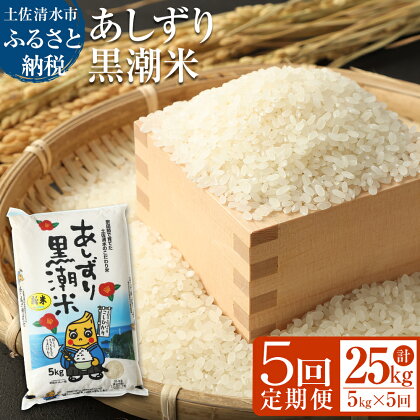 【5回定期便】あしずり黒潮米5kg×5回（コシヒカリ）こしひかり 精米 白米 ブランド米 お米 米 コメ ご飯 おにぎり 甘い もちもち 国産 宗田節で育てた 故郷納税 高知県 土佐清水市 送料無料 高知【J00022】