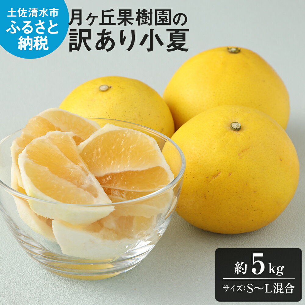 【ふるさと納税】《先行予約》　月ヶ丘果樹園の訳あり小夏5kg　家庭用柑橘 日向夏 みかん フルーツ 特産果物 こなつ 日向 夏 蜜柑 ミカン オレンジ くだもの 果実 フルーツ 柑橘 果汁 爽やか さわやか 故郷納税 高知県 土佐清水市 送料無料 高知【R00177】