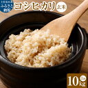 【ふるさと納税】令和6年産新米 コシヒカリ玄米10kg（1袋）【先行予約/令和6年8月発送予定】お米 健康食品 10000g 10キロ おこめ 米 こめ ごはん 飯 こしひかり ブランド米 おいしい 常温 国産 送料無料 高知県 土佐清水市 故郷納税 返礼品 高知 【R00331】