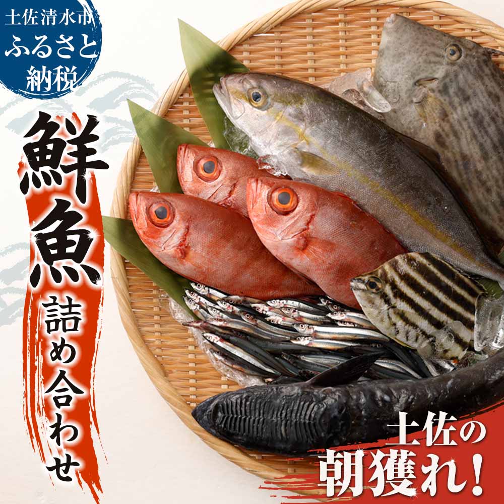 【ふるさと納税】旬の朝獲れ鮮魚詰め合わせ【以布利定置網　漁師直送】朝獲れ 鮮魚ボックス 旬 鮮魚 魚介 海鮮 魚 さかな せんぎょ 鮮魚セット 詰め合わせ おまかせ お任せ 故郷納税 高知県 土佐清水市 送料無料 高知【S00818】のサムネイル