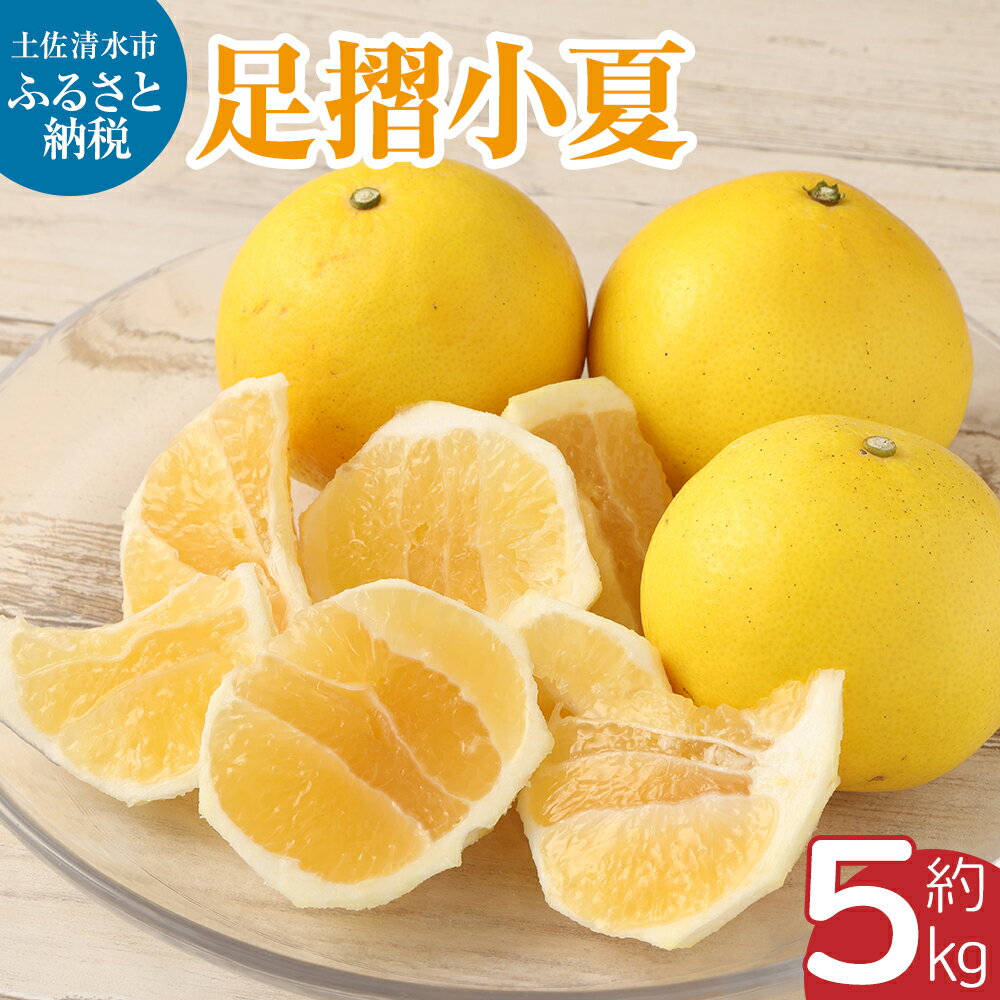 [令和8年発送]早川農園の足摺小夏(5kg)日向夏 みかん ニューサマーオレンジ 柑橘 フルーツ こなつ 小夏 果物 特産 5キロ S〜Lサイズ混合 美味しい ふるさとのうぜい 故郷納税 返礼品 高知 土佐清水市 [R00397]