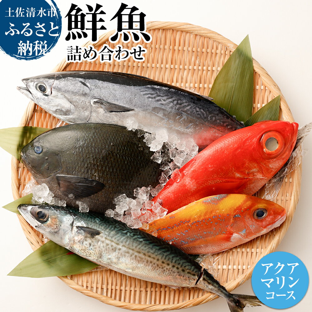 【ふるさと納税】おまかせ！季節の鮮魚 お楽しみセット（アクアマリンコース）鮮魚ボックス 天然魚 食べ比べ 魚介類 海鮮料理 お楽しみ セット 詰め合わせ 鮮魚 魚 お刺身 刺し身 煮付け 20000円 2万円 ふるさとのうぜい 故郷納税 返礼品 高知 土佐清水市 【R00480】