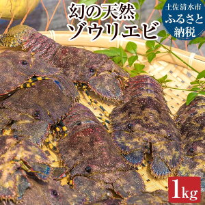 【ふるさと納税】幻の天然ゾウリエビ1kg(サイズおまかせ)※着日指定不可※タビエビ 甲殻類 海老 地元ですら流通しない希少セミエビ科 高知県産 エビ ゾウリエビ 冷蔵 配送 賞味期限が短い 新鮮 美味しい 希少 故郷納税 返礼品 土佐清水市 高知【R00620】