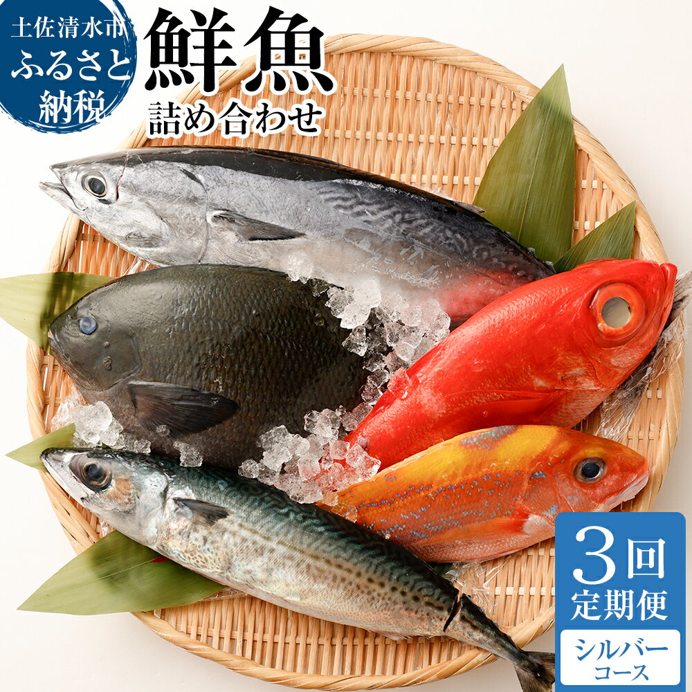 ＜3回定期便＞ 季節の鮮魚 おまかせお楽しみセット（シルバーコース）鮮魚ボックス 天然魚 食べ比べ 魚介類 海鮮料理 魚 鮮魚 新鮮 刺し身 お刺身 煮付け ふるさと納税 お楽しみ 定期便 3ヶ月 ふるさとのうぜい 故郷納税 返礼品 高知 土佐清水市【J00034】