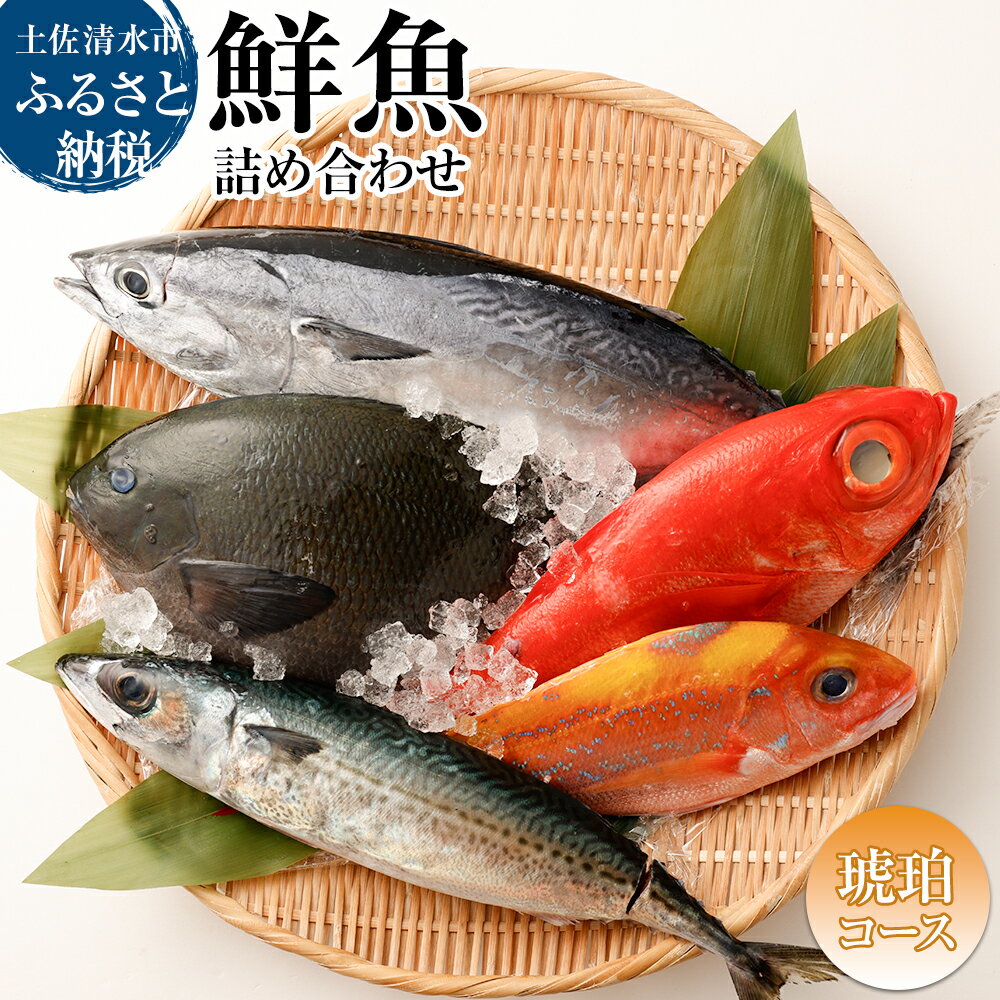 【ふるさと納税】おまかせ！季節の鮮魚 お楽しみセット（琥珀コ