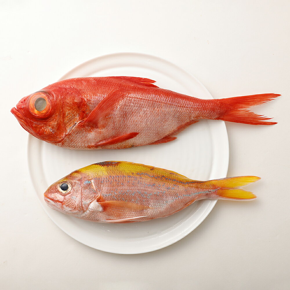 【ふるさと納税】＜3回定期便＞ 鮮魚 ボックス 季節の鮮魚 おまかせお楽しみセット（ブロンズコース）鮮魚 詰め合わせ 天然魚 食べ比べ 魚介類 海鮮料理 魚 新鮮 刺し身 お刺身 煮付け ふるさと納税 お楽しみ 定期便 3ヶ月 ふるさとのうぜい 故郷納税 【J00023】 f392090-tosashimizu-10000422 高知県土佐清水市 サンプル画像3