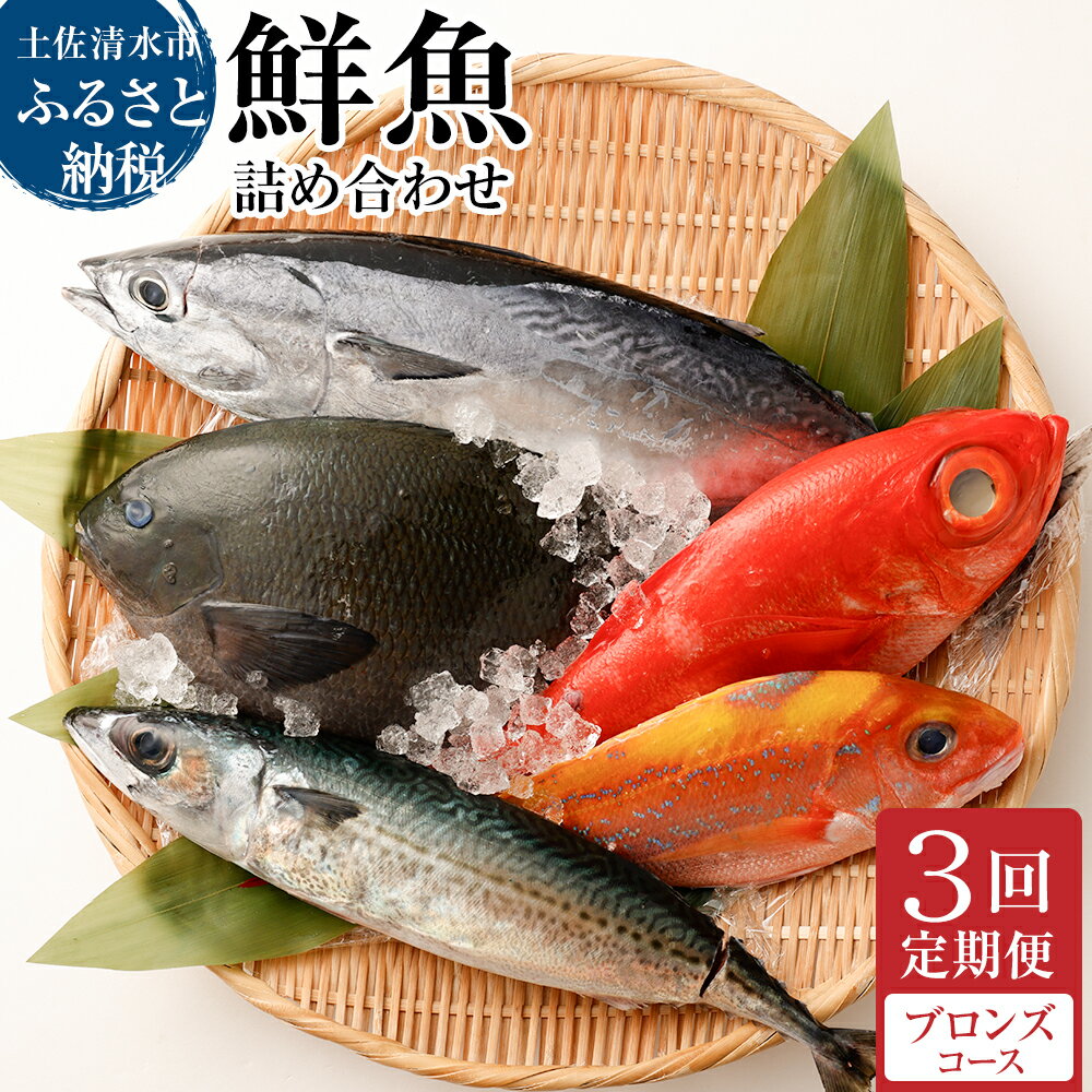 【ふるさと納税】＜3回定期便＞ 季節の鮮魚 おまかせお楽しみ