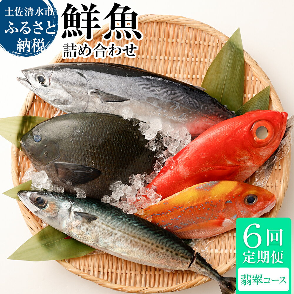 3位! 口コミ数「0件」評価「0」＜6回定期便＞ 季節の鮮魚 おまかせお楽しみセット（翡翠コース）鮮魚ボックス 天然魚 食べ比べ 魚介類 海鮮料理 魚 鮮魚 新鮮 刺し身 お･･･ 