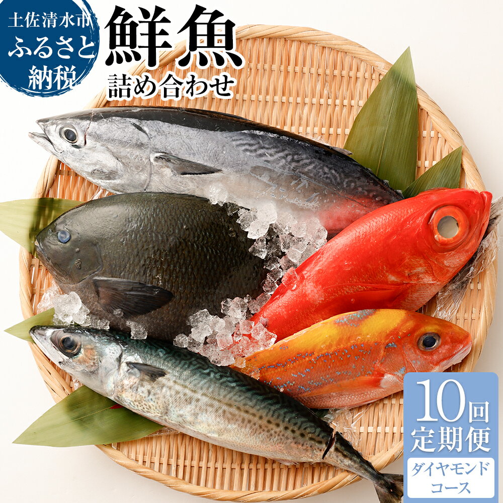 2位! 口コミ数「0件」評価「0」＜10回定期便＞ 季節の鮮魚 おまかせお楽しみセット (20万円ダイヤモンドコース) 鮮魚ボックス 天然魚 食べ比べ 魚介類 海鮮料理 魚 ･･･ 