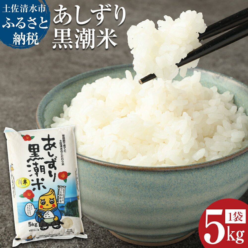 【ふるさと納税】令和6年産 新米 あしずり黒潮米5kg（コシヒカリ）こしひかり 精米 白米 ブランド米 お米 米 コメ ご飯 おにぎり 甘い もちもち 国産 宗田節で育てた 故郷納税 高知県 土佐清水市 送料無料 高知 10000円 1万円【R00193】のサムネイル