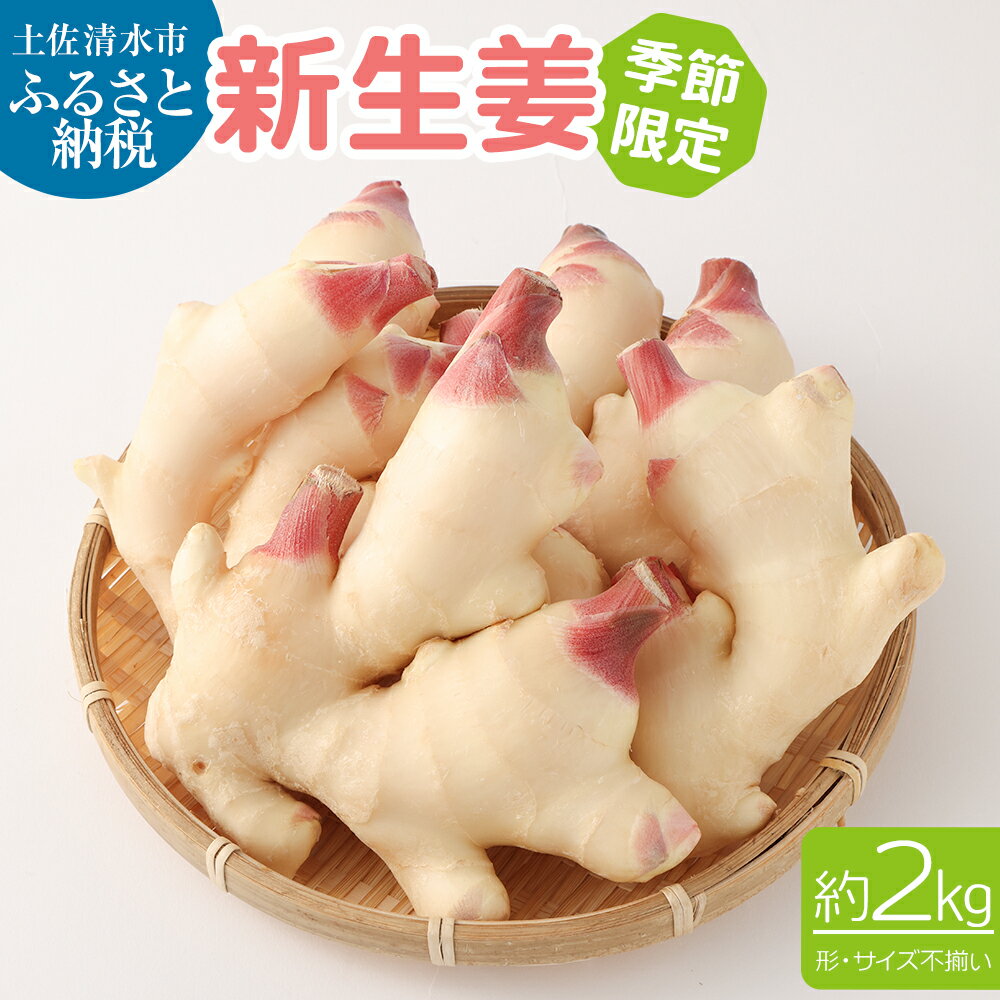 【ふるさと納税】 先行受付 新生姜 しょうが ショウガ 国産 2kg 季節限定・農家直送 甘酢漬け ガリ 佃煮 ジンジャー ジンジャーエール 野菜 食品 料理 ...