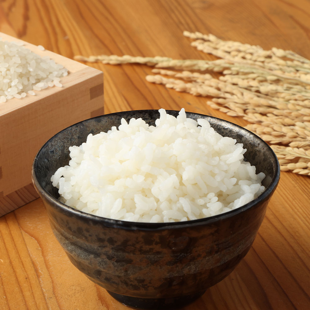 【ふるさと納税】令和7年産 新米 コシヒカリ 精米 選べる内容量 お届け回数 白米 お米 ご飯 ごはん 米 kome こめ こしひかり 高知県産 5kg 10kg 15kg 20kg ふるさと納税 高知 米 美味しい おいしい 定期便 3ヶ月 5ヶ月 故郷納税 高知 土佐清水市【R01408】