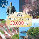 【ふるさと納税】高知県土佐清水市の対象施設で使える楽天トラベルクーポン 寄付額100,000円 クーポン30,000円分 楽天トラベル ホテル 観光 旅行 国内旅行 クーポン 予約 宿泊 宿泊施設 自然 旅館 高知県 高知 土佐清水市 足摺岬【R00734】