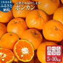 【ふるさと納税】令和8年発送 オレンジ園のぽんかん5kg 10kg デコポンの親 みかん ミカン 果物 果実 5キロ 10キロ 柑橘 フルーツ ポンカン おや...