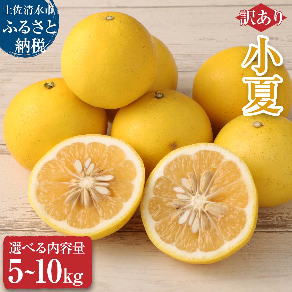 16位! 口コミ数「5件」評価「4.6」【訳あり】オレンジ園の小夏5kg 10kg 日向夏 みかん 柑橘 フルーツ 果物 こなつ ニューサマーオレンジ 先行予約 旬 5キロ 10キ･･･ 