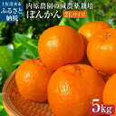 【ふるさと納税】令和8年発送 内原農園の減農薬栽培 ぽんかん(2Lサイズ)5キロ 贈答用 みかん 蜜柑 ミカン 柑橘 かんきつ ポンカン フルーツ オレンジ 果...