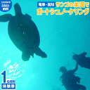 【ふるさと納税】【竜串・高知】サンゴの楽園でボートシュノーケリング体験券(1名分)チケット マリンスポーツ 観光 シュノーケリング ボート 体験 観光 高知 竜串 旅行 国内旅行 土佐清水市 高知県 高知 旅 観光地 入場券 海 絶景【R01099】
