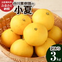 【ふるさと納税】<訳あり> 谷川果樹園の小夏3kg 日向夏 みかん 柑橘 フルーツ こなつ ニューサマーオレンジ 果物 美味しい ワケあり 訳 自宅用 ご家庭用...