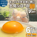 【ふるさと納税】訳あり 新鮮 卵 たまご 生卵 鶏卵 選べる 12個 18個 ブランド卵 タマゴ 玉子 卵焼き 目玉焼き 卵かけご飯 土佐ジロー 地鶏 濃厚 コク 食品 訳アリ 不揃い 規格外 自宅用 ご家庭用 冷蔵 故郷納税 高知県 土佐清水市 送料無料 高知 7000円 9000円【R01216】