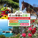 【ふるさと納税】一括寄附で4つの事業を応援!返礼品なし 100,000円(子ども食堂・引退馬の余生応援・椿の森再生・まちづくり支援)10万円 子供 子育て 福祉 動物保護 自然保護 環境整備 教育 自然 高知県 高知 土佐清水 故郷納税 ふるさとのうぜい 返礼品【R01226】