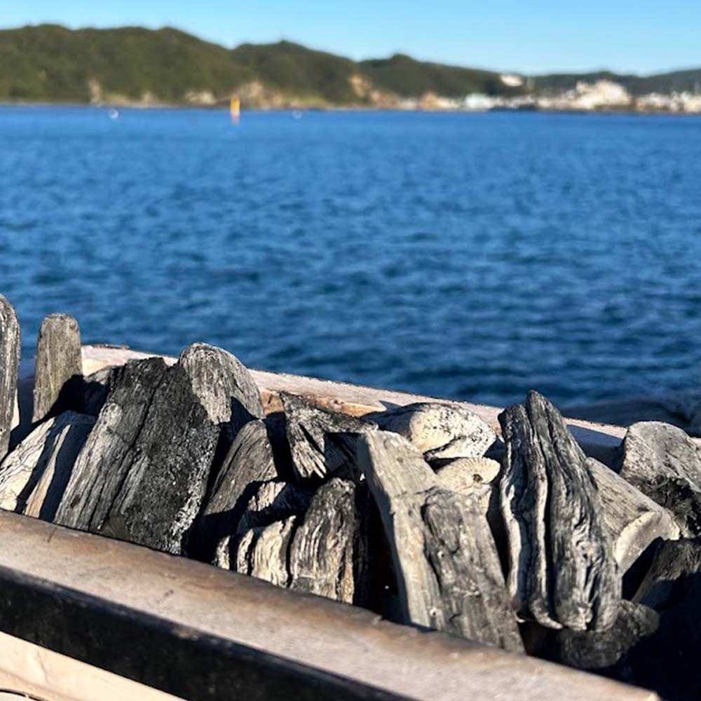 【ふるさと納税】土佐備長炭 1箱4kg 定期便 ウバメガシ 姥目樫 木炭 キャンプ アウトドア バーベキュー BBQ 七輪 炭火焼き 防災グッズ ストーブ 囲炉裏 インテリア 除湿 消臭 国産 高知県 高知 土佐清水 故郷納税 ふるさとのうぜい 返礼品 焼肉【R01312】