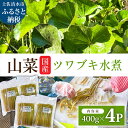【ふるさと納税】ツワブキ 水煮 400g×4パック 1.6kg 1.6キロ 山菜 下処理済み 野菜 春の食材 煮物 佃煮 料理 石蕗 食品 お取り寄せ 真空 冷凍 配送 高知県 土佐清水市 故郷納税 返礼品 高知 送料無料【R01450】