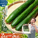 【ふるさと納税】きゅうり 選べる内容量 2kg 5kg 2キロ 5キロ キュウリ 野菜 新鮮 夏野菜 産地直送 サラダ 漬物 浅漬け ぬか漬け 酢の物 炒め物 健康 高知県 土佐清水市 故郷納税 返礼品 高知 送料無料【R01451】