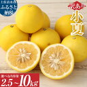 【ふるさと納税】R8発送 先行予約【訳あり】オレンジ園の小夏 2.5kg 5kg 10kg 日向夏 みかん 柑橘 フルーツ 果物 こなつ ニューサマーオレンジ 旬 5キロ 10キロ 食感 スッキリ ご自宅用 お取り寄せ 常温 国産 訳あり 送料無料 高知県 土佐清水市 故郷納税 返礼品【R01447】