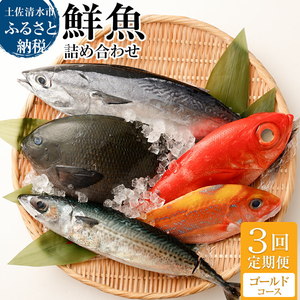 ＜3回定期便＞ 季節の鮮魚 おまかせお楽しみセット（ゴールドコース）鮮魚ボックス 天然魚 食べ比べ 魚介類 海鮮料理 魚 鮮魚 新鮮 刺し身 お刺身 煮付け ふるさと納税 お楽しみ 定期便 3ヶ月 ふるさとのうぜい 故郷納税 返礼品 高知 土佐清水市 【J00047】