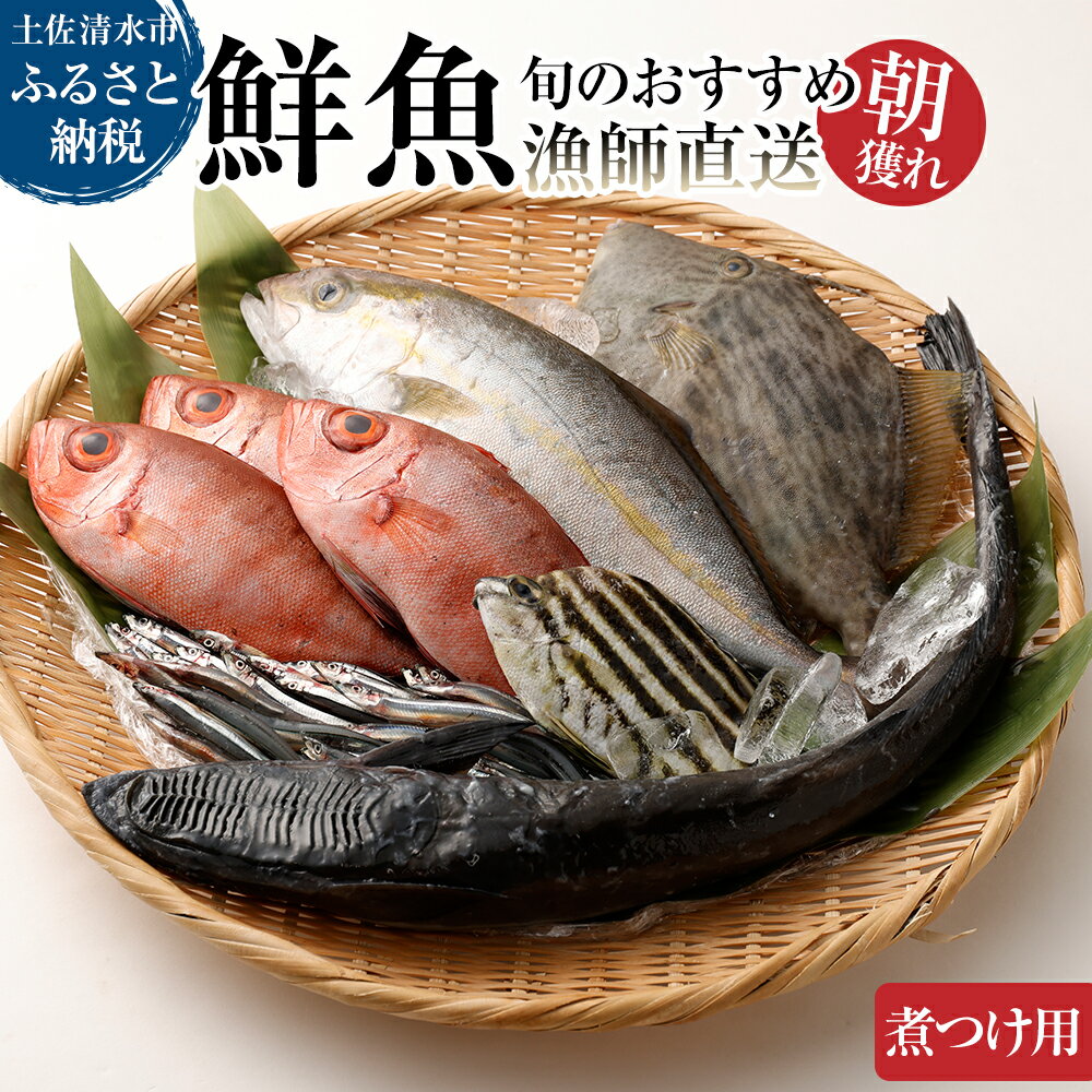 旬の朝獲れ鮮魚（煮つけ用）漁師おすすめセット【以布利定置網　漁師直送】朝獲れ 鮮魚ボックス 旬 煮付 煮魚 鮮魚 魚介 海鮮 魚 さかな せんぎょ 鮮魚セット 詰め合わせ おまかせ お任せ 故郷納税 高知県 土佐清水市 送料無料 高知【R00405】