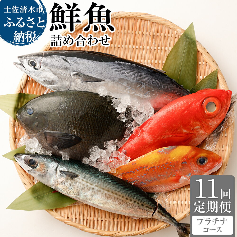 [11回定期便] 季節の鮮魚 おまかせお楽しみセット (プラチナコース) 天然魚 食べ比べ 魚介類 海鮮料理 魚 鮮魚 新鮮 刺身 お刺身 煮付け ふるさと納税 お楽しみ 定期便 定期コース 11ヶ月 ふるさとのうぜい 故郷納税 返礼品 高知 土佐清水市 [J00054]