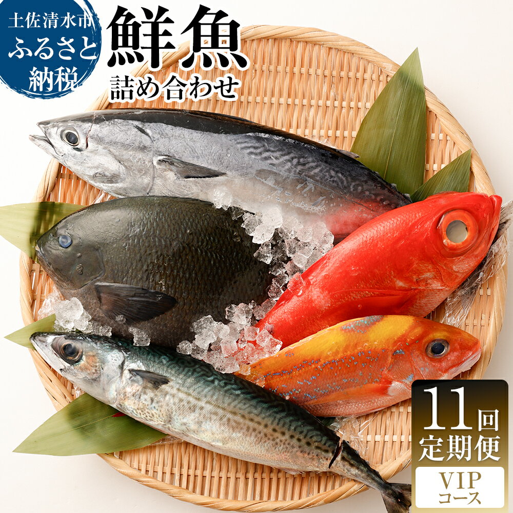 【ふるさと納税】＜11回定期便＞ 季節の鮮魚 おまかせお楽しみセット （VIPコース） 天然魚 食べ比べ ...