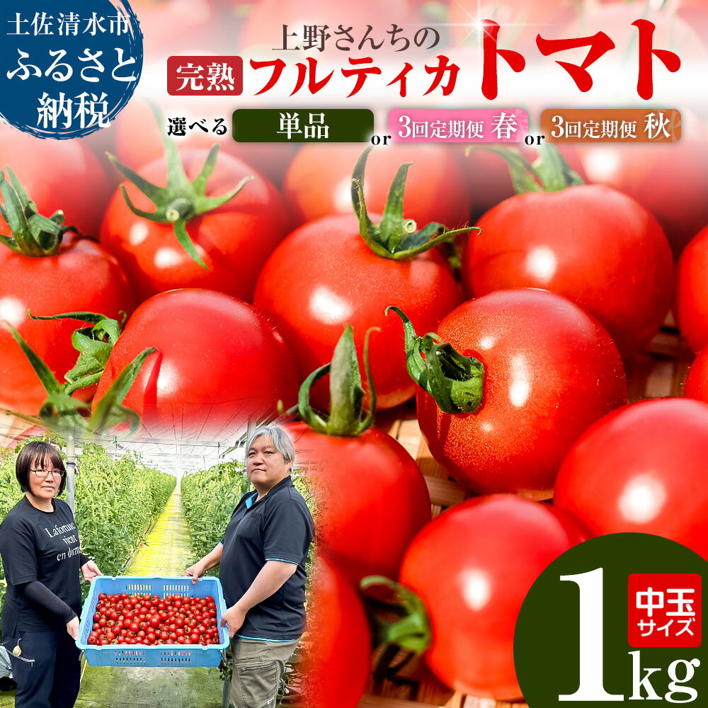【ふるさと納税】完熟フルティカトマト1kg 選べるお届け回数 定期便 中玉サイズ 甘熟ミディトマト フ...