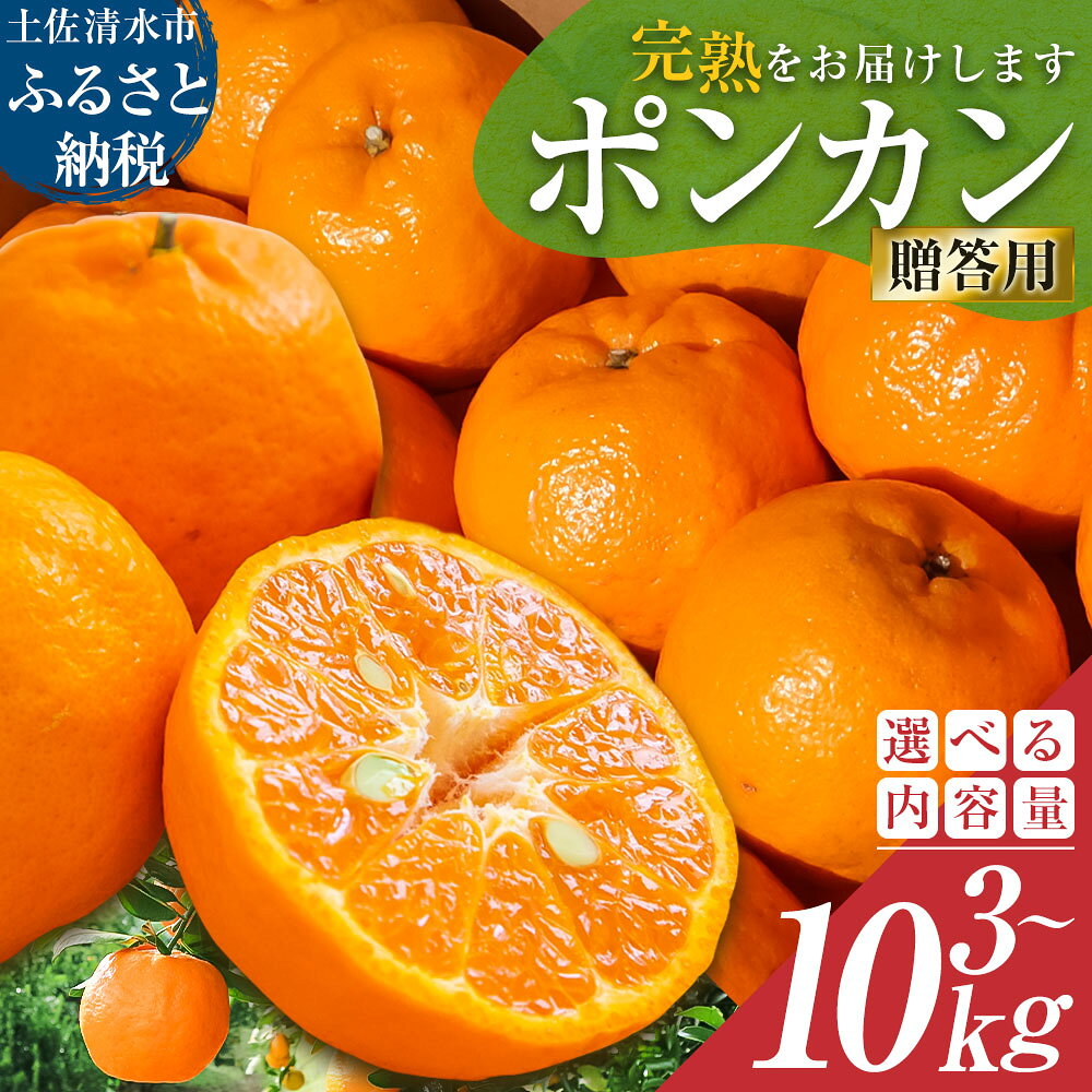 令和8年発送 2026年発送 予約オレンジ園のぽんかん 3kg 5kg 10kg デコポンの親 みかん ミカン 果物 果実 3キロ 5キロ 10キロ 柑橘 フルーツ ポンカン おやつ デザート 甘い 美味しい おいしい 完熟 ギフト 贈答 土佐 名物 国産 高知県 返礼品【R01083】