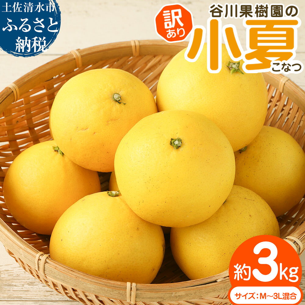 令和9年4月中旬以降発送 訳あり 小夏 谷川果樹園の小夏3kg 日向夏 みかん 柑橘 フルーツ こなつ ニューサマーオレンジ 果物 美味しい ワケあり 訳 自宅用 ご家庭用 おやつ ふるさとのうぜい 故郷納税 返礼品 高知 土佐清水市 7000円[R01146]