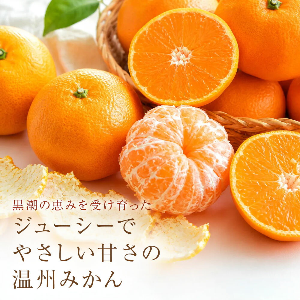 【ふるさと納税】みかん 訳あり 小粒っ子 大小混合 1kg 3kg 5kg 10kg 傷み補償 300g 小玉 温州みかん 種類と内容量が選べる 柑橘 果物 フルーツ 不揃い オレンジ 訳アリ 蜜柑 果実 極早生 早生 晩生 光センサー選果 愛媛 みかん職人武田屋 高知県 土佐清水市【R01618】 f392090-tosashimizu-10001420 高知県土佐清水市 サンプル画像2