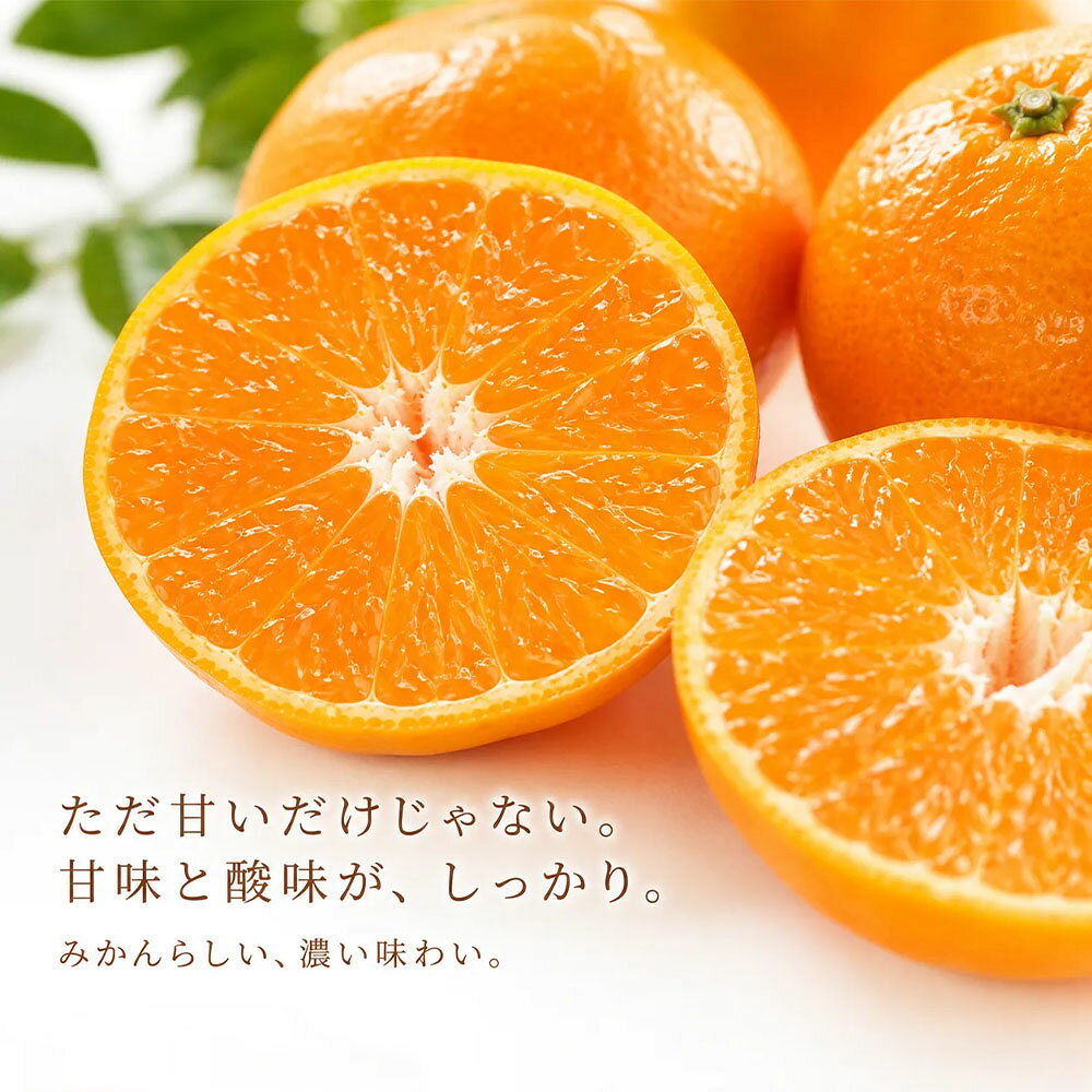 【ふるさと納税】みかん 訳あり 小粒っ子 大小混合 1kg 3kg 5kg 10kg 傷み補償 300g 小玉 温州みかん 種類と内容量が選べる 柑橘 果物 フルーツ 不揃い オレンジ 訳アリ 蜜柑 果実 極早生 早生 晩生 光センサー選果 愛媛 みかん職人武田屋 高知県 土佐清水市【R01618】 f392090-tosashimizu-10001420 高知県土佐清水市 サンプル画像3