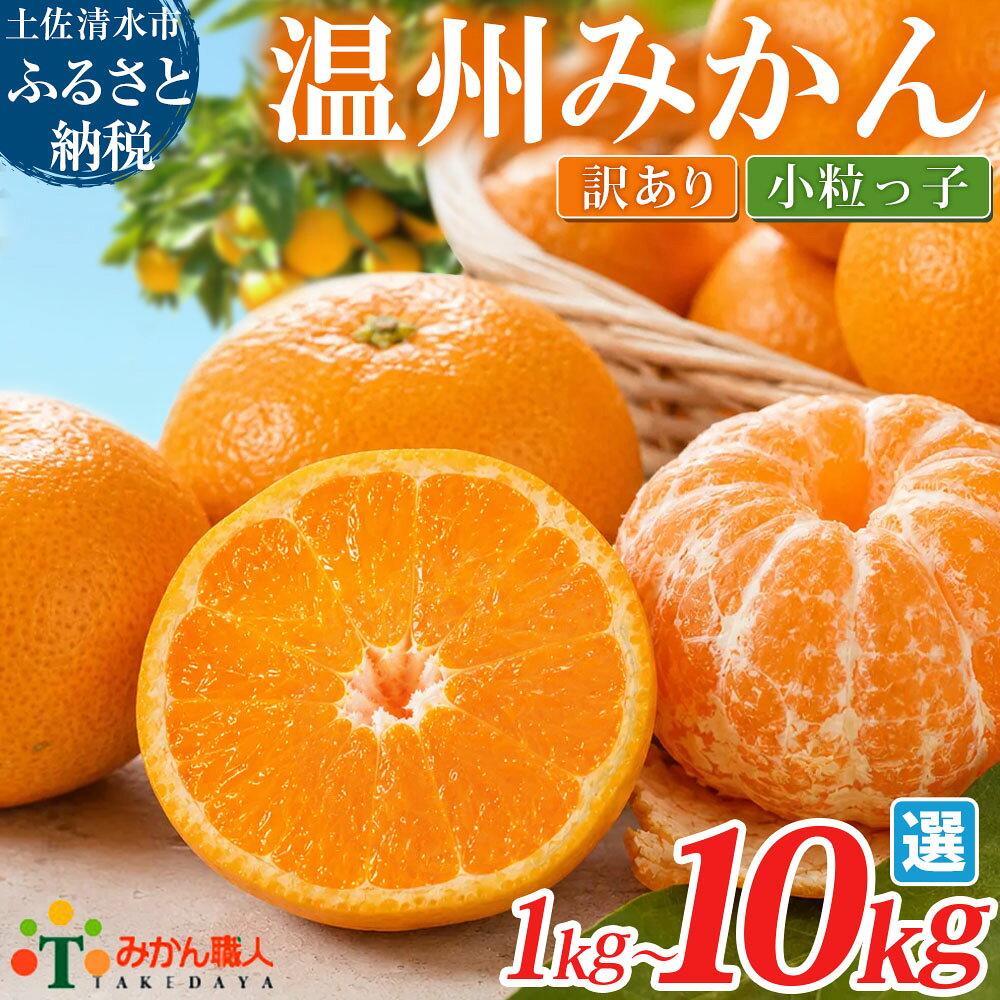 みかん 訳あり 小粒っ子 大小混合 1kg 3kg 5kg 10kg 傷み補償 300g 小玉 温州みかん 種類と内容量が選べる 柑橘 果物 フルーツ 不揃い オレンジ 訳アリ 蜜柑 果実 極早生 早生 晩生 光センサー選果 愛媛 みかん職人武田屋 高知県 土佐清水市[R01618]
