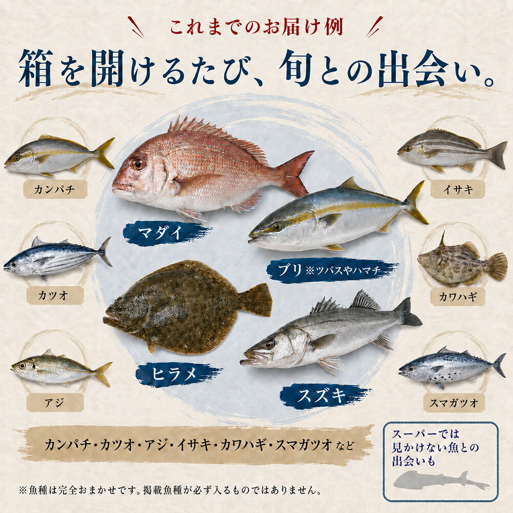 【ふるさと納税】 鮮魚 ボックス 詰め合わせ 選べる発送月 ※着日指定不可 配送月 朝獲れ 朝どれ 旬 3~4人分 魚介 海鮮 刺身 魚料理 まるごと 生魚 さかな サバ タイ アジ カツオ カマス カンパチ セット おまかせ 産地直送 漁師直送 おすすめ 人気 高知 13000円【S00818】 f392090-tosashimizu-10000068 高知県土佐清水市 サンプル画像3