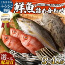 【ふるさと納税】鮮魚 ボックス 詰め合わせ 朝獲れ 朝どれ 旬 3~4人分 魚介 海鮮 刺身 魚料理 まるごと 魚 生魚 さかな せんぎょ サバ タイ アジ カツオ カマス カンパチ セット おまかせ ランダム 家族 産地直送 漁師直送 送料無料 故郷納税 高知 12000円【S00818】