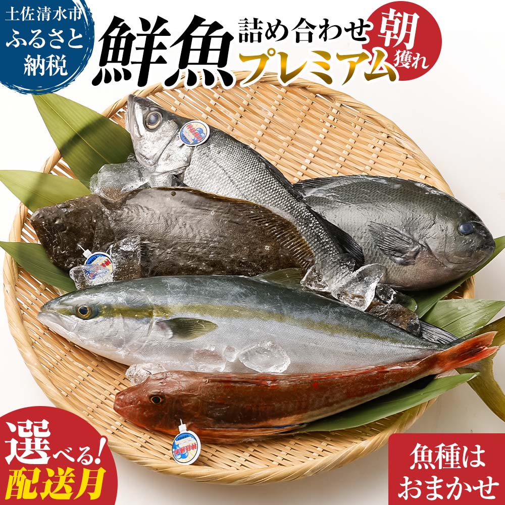 【ふるさと納税】鮮魚 ボックス 旬の朝獲れ鮮魚詰め合わせ（プレミアム）【以布利定置網　漁師直送】朝獲れ 旬 鮮魚 詰め合わせ 魚介 海鮮 魚 さかな せんぎょ 鮮魚セットおまかせ お任せ 故郷納税 高知県 土佐清水市 送料無料 高知【S00819】
