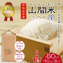 【ふるさと納税】23-865．【令和5年産・5回定期便】四万十川の支流で育った山間米10kg（5kg×2袋）×5回（計50kg） ヒノヒカリ 定期便 高知 四万十 しまんと 米 コメ 白米 精米 ひのひかり 送料無料 お弁当