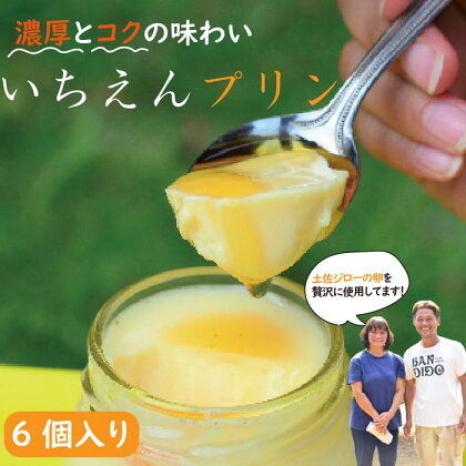 土佐ジロー卵を贅沢に使った無添加いちえんプリン(土佐ジローの濃厚プリン)6個(3個入り×2箱) ふるさと納税 卵 玉子 たまご プリン ぷりん スウィーツ 鶏卵 土佐ジローの卵 自然卵 新鮮 濃厚 高知 四万十市 産地直送 送料無料